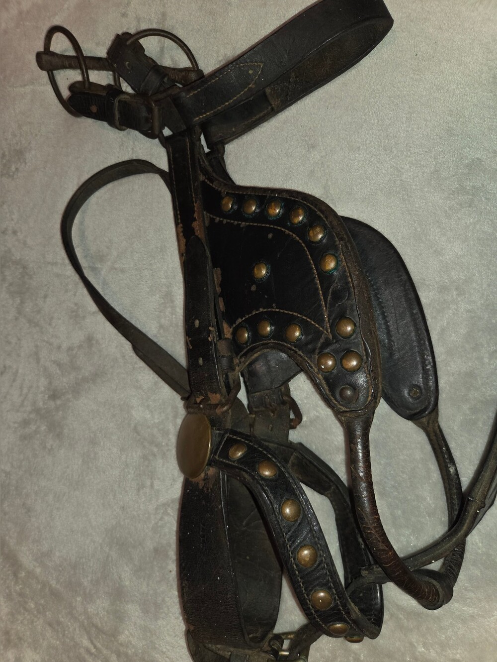 Vintage Antique Bridle, Bit And Blinders Similar To US Calvary Harness